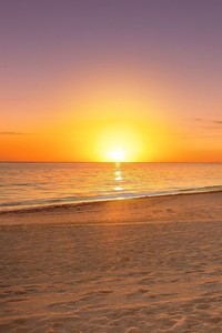 国内足球赛事精彩纷呈，势必掀起狂潮