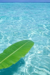 煤球兄弟再战中超，冲击积分榜前四位