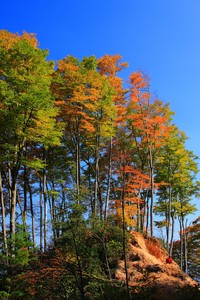 热刺遭遇失利，水晶宫客场抢分
