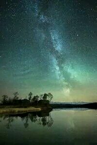 利物浦门将双骨折半数赛季缺席