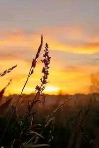 乌迪内斯宣布签下一名新后卫，增强后防实力