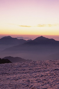 布莱顿主场平局，保级形势仍不明朗：球队未来的抉择与挑战