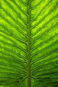 日本球员打破个人纪录，成就无限