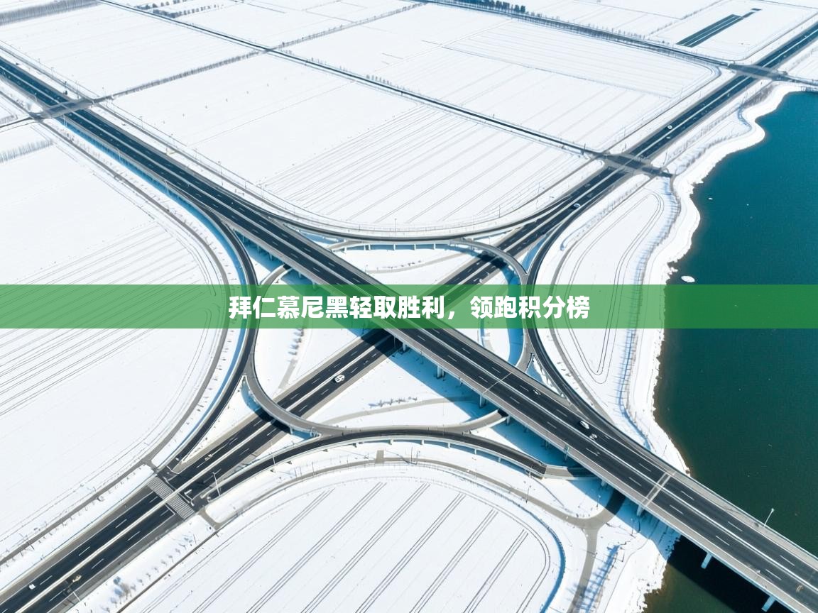 拜仁慕尼黑轻取胜利，领跑积分榜  第2张